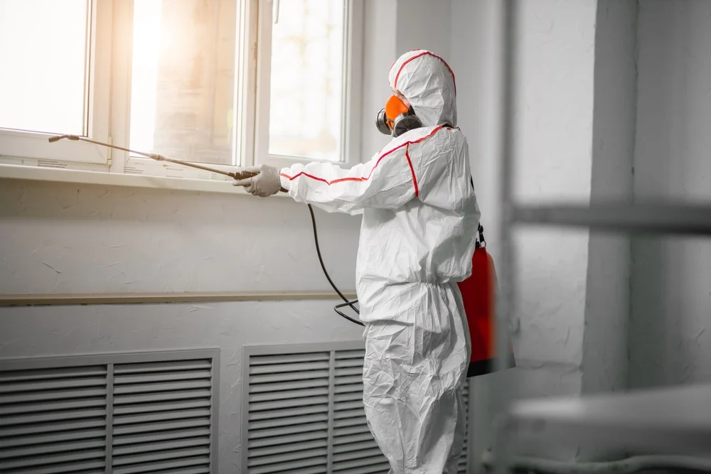 Professional mold remediation services in Union City, GA